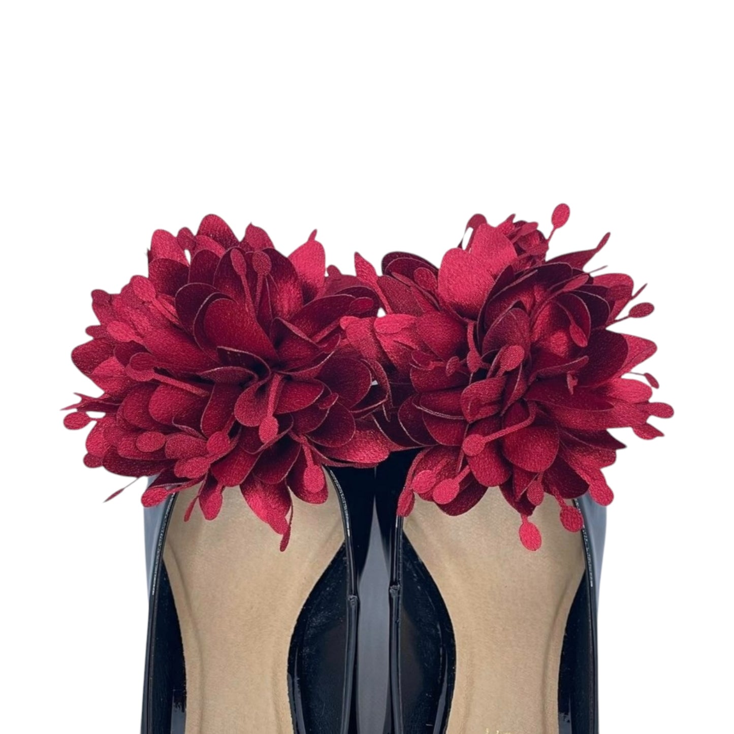 Radiant Red Bloom