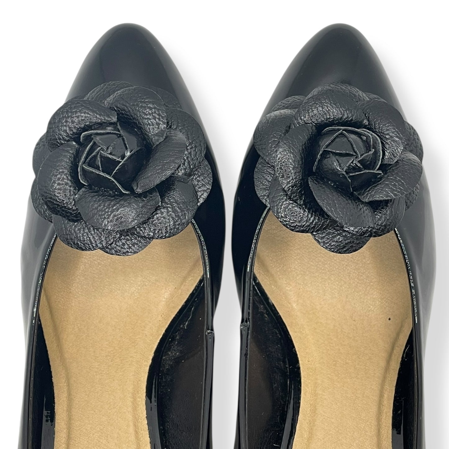 CC Camellia Clips – Black