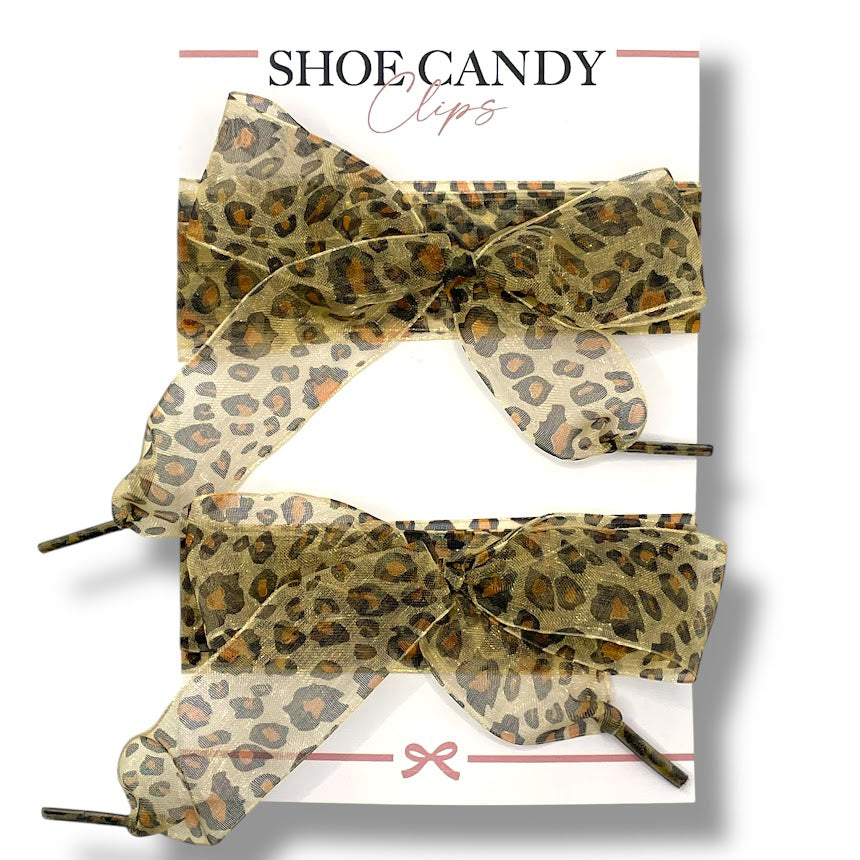 Safari Sheer Ribbon Laces